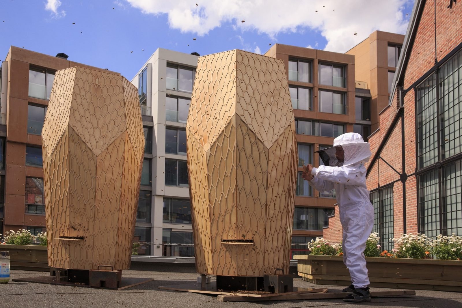 Social Housing for Bees