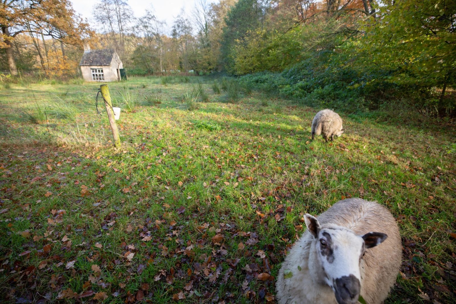 Je m'appelle Brabant