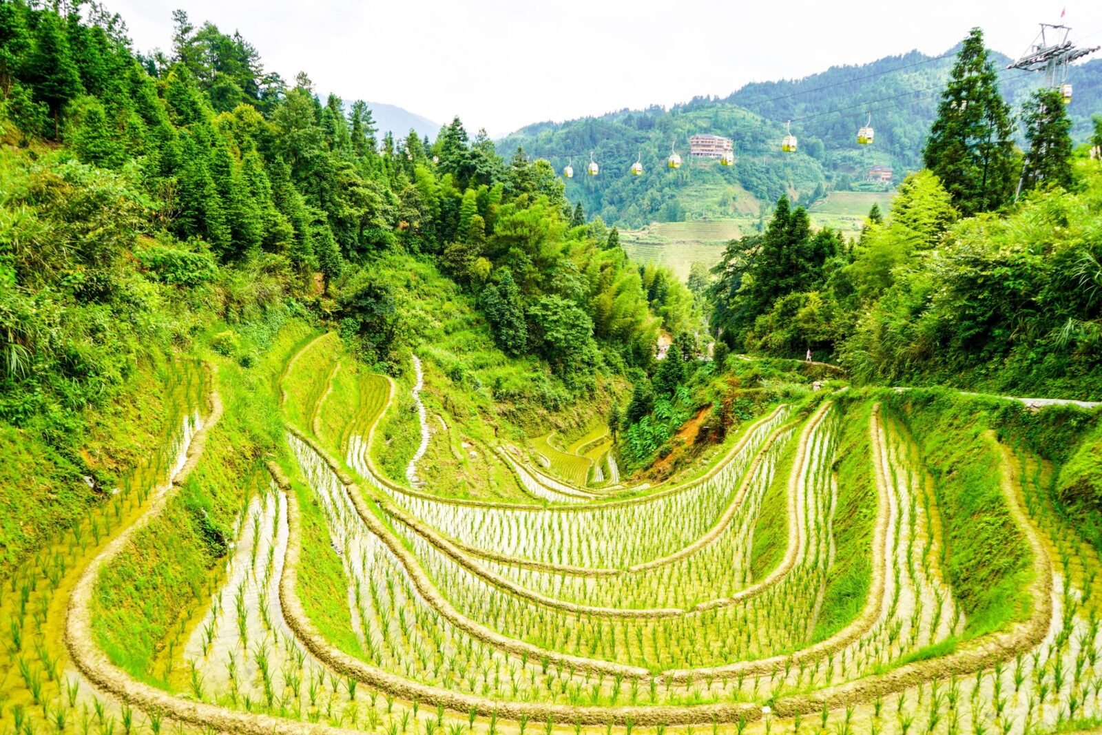 China Countryside