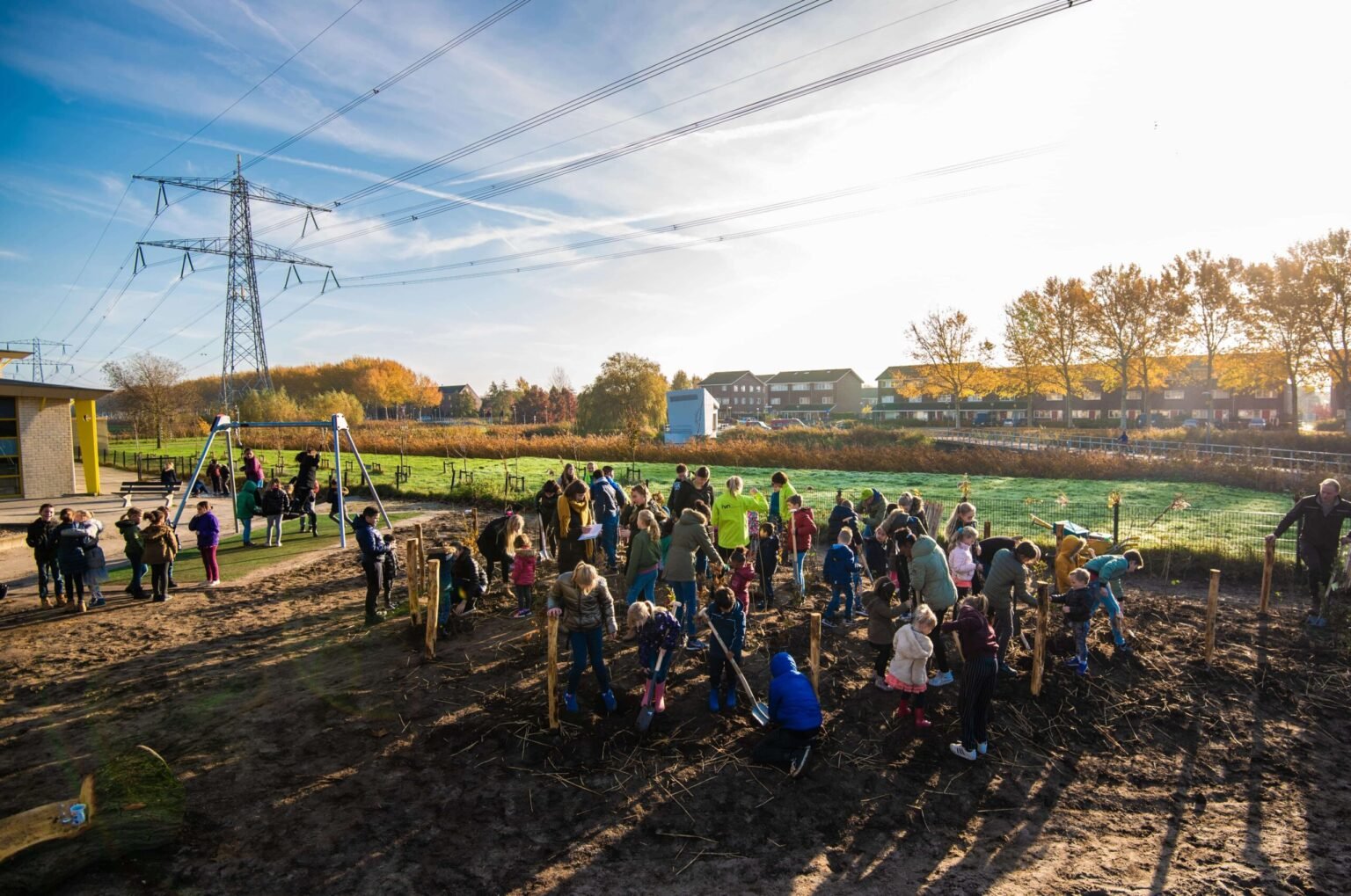 Tiny Urban Forests Are Popping Up On Brownfield Sites Across The Globe   Tiny Urban Forests 2 1536x1019 