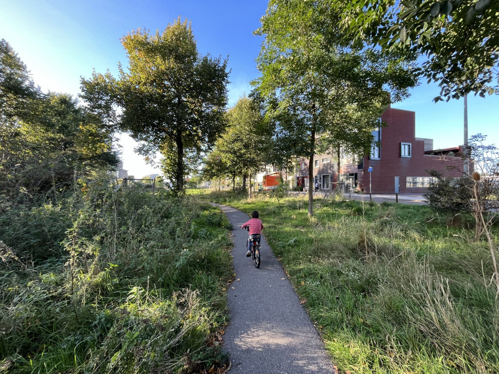 Park in Buiksloterham