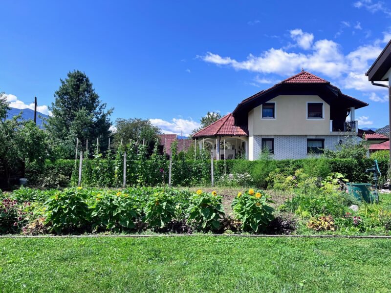 Kitchen garden